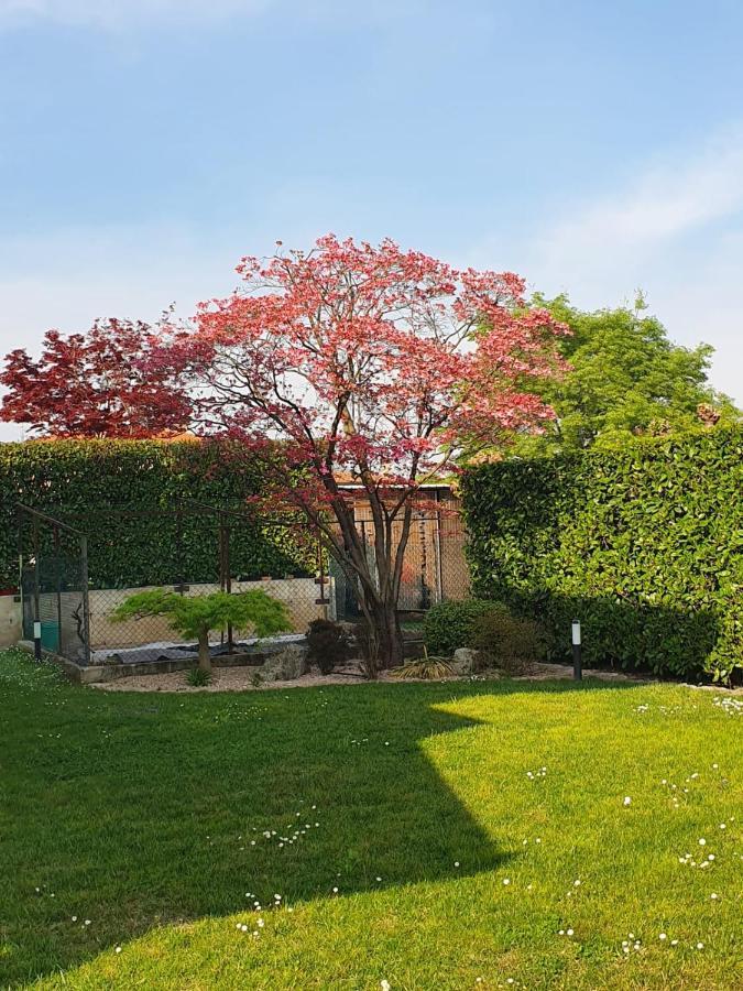 Casa Sofia Appartement Tezze sul Brenta Buitenkant foto